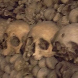 Meet your Posher, Ken